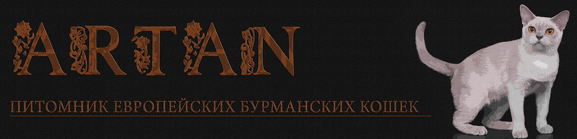 Описание изображения